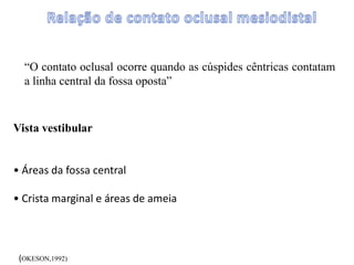 “O contato oclusal ocorre quando as cúspides cêntricas contatam
a linha central da fossa oposta”
Vista vestibular
• Áreas da fossa central
• Crista marginal e áreas de ameia
(OKESON,1992)
 