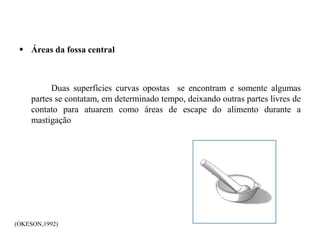  Áreas da fossa central
Duas superfícies curvas opostas se encontram e somente algumas
partes se contatam, em determinado tempo, deixando outras partes livres de
contato para atuarem como áreas de escape do alimento durante a
mastigação
(OKESON,1992)
 