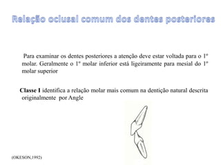 Para examinar os dentes posteriores a atenção deve estar voltada para o 1º
molar. Geralmente o 1º molar inferior está ligeiramente para mesial do 1º
molar superior
Classe I identifica a relação molar mais comum na dentição natural descrita
originalmente por Angle
(OKESON,1992)
 