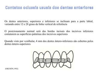 Os dentes anteriores, superiores e inferiores se inclinam para a parte labial,
variando entre 12 e 28 graus da linha vertical de referência
O posicionamento normal será das bordas incisais dos incisivos inferiores
contatarem as superfícies palatinas dos incisivos superiores
Quando visto por vestibular, 4 mm dos dentes ântero-inferiores são cobertos pelos
dentes ântero-superiores
(OKESON,1992)
 