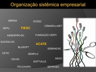 Organização sistêmica empresarial
SOFTVILLE
ABRADI
ACATE
ASSESPRO-SC
SUCESU-SC
BLUSOFT
CÂMARA e-NET
CDI-SC
CETIC
FECOAGRO
...