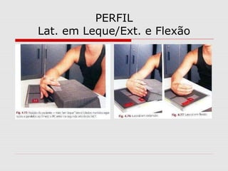 PERFIL
Lat. em Leque/Ext. e Flexão

 