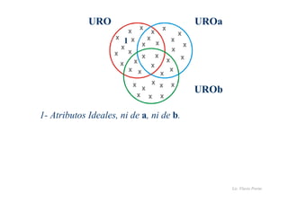 Lic. Flavio Porini 
URO 
x 
x 
x 
x 
1- Atributos Ideales, ni de a, ni de b. 
UROa 
x 
x 
x x 
x 
x 
x 
x 
x 
x 
x 
x x 
x 
x 
x 
x 
x 
x 
x 
x 
x 
x 
x x 
x 
x 
x 
x 
x 
x 
UROb 
1 
 