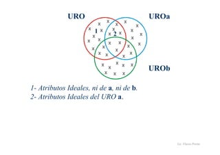 Lic. Flavio Porini 
URO 
x 
x 
x 
x 
1- Atributos Ideales, ni de a, ni de b. 
2- Atributos Ideales del URO a. 
UROa 
x 
x 
x x 
x 
x 
x 
x 
x 
x 
x 
x x 
x 
x 
x 
x 
x 
x 
x 
x 
x 
x 
x x 
x 
x 
x 
x 
x 
x 
UROb 
1 2 
 