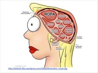 hp://billol25.ﬁles.wordpress.com/2008/04/cerebro_mujer.jpg
 