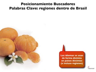 Posicionamiento Buscadores
Palabras Clave: regiones dentro de Brasil




                           Los idiomas se usan
  ...