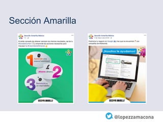 Sección Amarilla
 