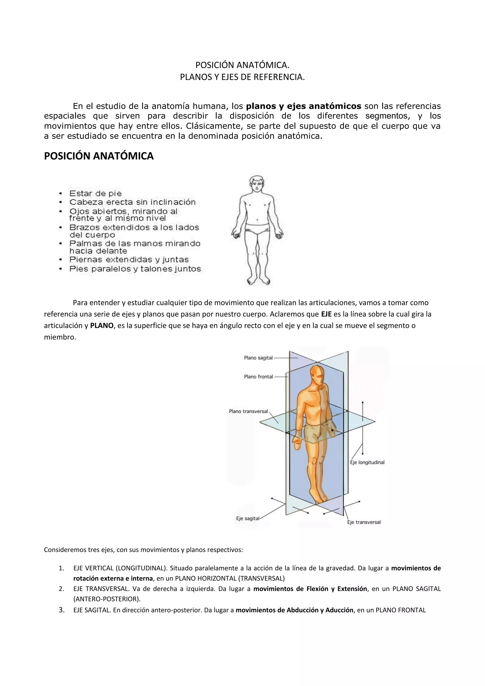 Posicion Anat mica Ejes Planos PDF