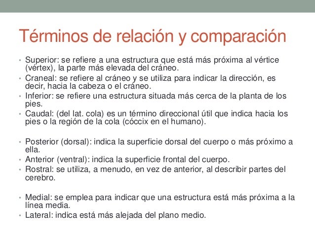 Terminos de relacion y comparacion anatomia pdf