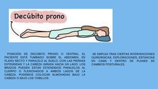 POSICIONES ANATOMICAS CON DETALLE Y EXPLICACION DE CADA UNA | PDF