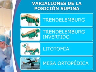 COMPANY LOGO
www.themegallery.com
TRENDELEMBURG
TRENDELEMBURG
INVERTIDO
LITOTOMÍA
MESA ORTOPÉDICA
VARIACIONES DE LA
POSICIÓN SUPINA
 