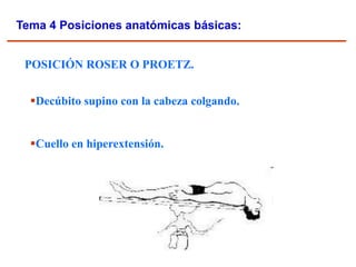 Posiciones anatomicas basicas enfermeria | PPT