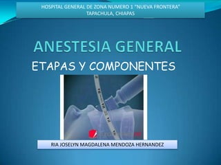 ETAPAS Y COMPONENTES
HOSPITAL GENERAL DE ZONA NUMERO 1 “NUEVA FRONTERA”
TAPACHULA, CHIAPAS
RIA JOSELYN MAGDALENA MENDOZA HERNANDEZ
 