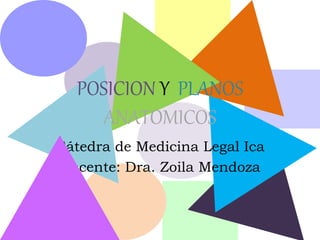 POSICION Y PLANOS
ANATOMICOS
Cátedra de Medicina Legal Ica
Docente: Dra. Zoila Mendoza
 