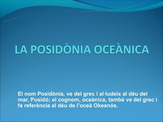 El nom Posidònia, ve del grec i al·ludeix al déu del
mar, Posidó; el cognom, oceànica, també ve del grec i
fa referència al déu de l’oceà Okeanós.
 