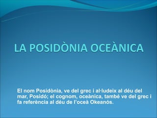 El nom ʴǲòԾ, ve del grec i al·ludeix al déu del
mar, Posidó; el cognom, oceànica, també ve del grec i
fa referència al déu de l’oceà Okeanós.
 