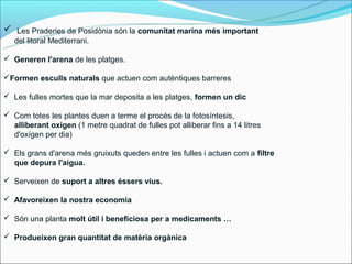  Les Praderies de ʴǲòԾ són la comunitat marina més important
   del litoral Mediterrani.

 Generen l'arena de les platges.

Formen esculls naturals que actuen com autèntiques barreres

 Les fulles mortes que la mar deposita a les platges, formen un dic

 Com totes les plantes duen a terme el procés de la fotosíntesis,
  alliberant oxigen (1 metre quadrat de fulles pot alliberar fins a 14 litres
  d'oxígen per dia)

 Els grans d'arena més gruixuts queden entre les fulles i actuen com a filtre
  que depura l'aigua.

 Serveixen de suport a altres éssers vius.

 Afavoreixen la nostra economia

 Són una planta molt útil i beneficiosa per a medicaments …

 Produeixen gran quantitat de matèria orgànica
 
