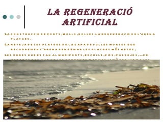 La regeneració artificial <ul><li>La construccio de ports, molls, bolles,la regeneracio de l’arena  platges. </li></ul><ul...