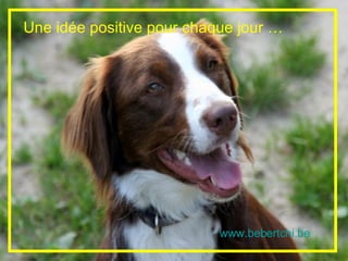 Une idée positive pour chaque jour …




                           www.bebertchi.be
 