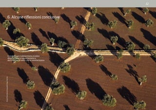 MichaelPoliza/NationalGeographicImageCollection
6. Alcune riflessioni conclusive
Il modo in cui ci alimentiamo è indice
della cultura cui apparteniamo e
dell’insieme di valori che la caratterizzano.
 