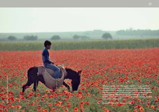 DavidAlanHarvey/NationalGeographicImageCollection
“Mangia, sangu meu! Mangia!”, mentre fra un piatto e
l’altro si incrociavano i ricordi e i racconti di famiglia, in
siciliano stretto farcito di chisto e chiddu, con mio padre
che da quanto capivo intanto che cercavo di fronteggiare
le pietanze e i “Mangia, sangu meu! Mangia” voleva
sapere come stavano e che cosa facevano amici e parenti
e semplici conoscenti”
Giuseppe Culicchia - Sicilia, o cara
 