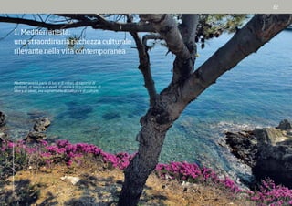 RaulTouzon/NationalGeographicImageCollection
1. Mediterraneità:
una straordinaria ricchezza culturale
rilevante nella vita contemporanea
Mediterraneità parla di luci e di colori, di sapori e di
profumi, di tempi e di modi, di storia e di quotidiano, di
idee e di ideali, ma soprattutto di cultura e di culture.
 