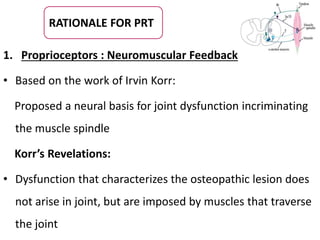 1. Proprioceptors : Neuromuscular Feedback
• Based on the work of Irvin Korr:
Proposed a neural basis for joint dysfunction incriminating
the muscle spindle
Korr’s Revelations:
• Dysfunction that characterizes the osteopathic lesion does
not arise in joint, but are imposed by muscles that traverse
the joint
RATIONALE FOR PRT
 