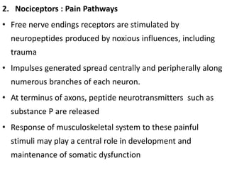2. Nociceptors : Pain Pathways
• Free nerve endings receptors are stimulated by
neuropeptides produced by noxious influences, including
trauma
• Impulses generated spread centrally and peripherally along
numerous branches of each neuron.
• At terminus of axons, peptide neurotransmitters such as
substance P are released
• Response of musculoskeletal system to these painful
stimuli may play a central role in development and
maintenance of somatic dysfunction
 