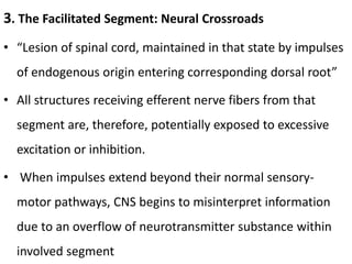 3. The Facilitated Segment: Neural Crossroads
• “Lesion of spinal cord, maintained in that state by impulses
of endogenous origin entering corresponding dorsal root”
• All structures receiving efferent nerve fibers from that
segment are, therefore, potentially exposed to excessive
excitation or inhibition.
• When impulses extend beyond their normal sensory-
motor pathways, CNS begins to misinterpret information
due to an overflow of neurotransmitter substance within
involved segment
 