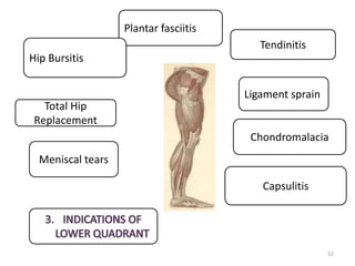 52
Tendinitis
Plantar fasciitis
Capsulitis
Ligament sprain
Meniscal tears
Total Hip
Replacement
Chondromalacia
Hip Bursitis
 