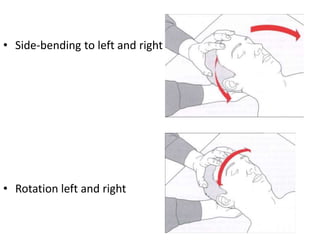 • Side-bending to left and right
• Rotation left and right
 