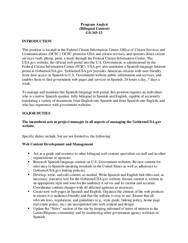 program analyst job description