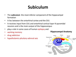 Positionig system of the brain(noble prize in medicine 2014) | PPTX