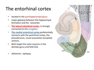 Positionig system of the brain(noble prize in medicine 2014) | PPTX