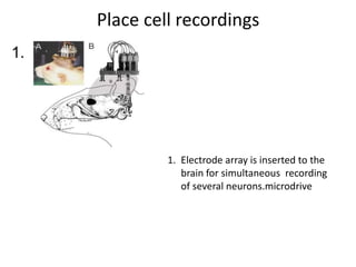 Brain Microdrive Positionig system of the brain(noble prize in medicine 2014) | PPTX