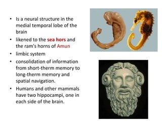 Positionig system of the brain(noble prize in medicine 2014) | PPTX