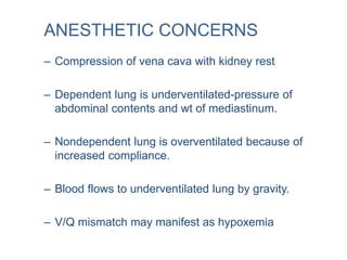 – Compression of vena cava with kidney rest
– Dependent lung is underventilated-pressure of
abdominal contents and wt of mediastinum.
– Nondependent lung is overventilated because of
increased compliance.
– Blood flows to underventilated lung by gravity.
– V/Q mismatch may manifest as hypoxemia
ANESTHETIC CONCERNS
 