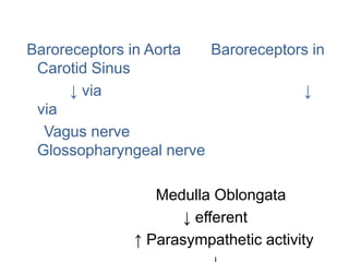 Baroreceptors in Aorta Baroreceptors in
Carotid Sinus
↓ via ↓
via
Vagus nerve
Glossopharyngeal nerve
Medulla Oblongata
↓ efferent
↑ Parasympathetic activity
 