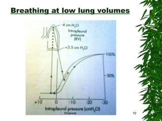 Breathing at low lung volumes Shaswat Shaswat 