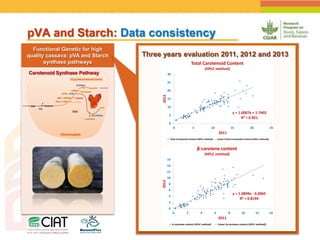 Positioning CIAT as leader in next generation breeding for roots, tubers and bananas