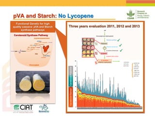 Positioning CIAT as leader in next generation breeding for roots, tubers and bananas