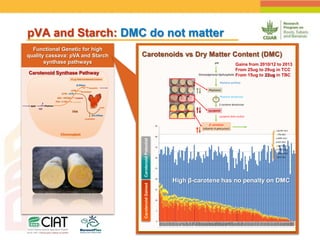 Positioning CIAT as leader in next generation breeding for roots, tubers and bananas