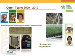 Positioning CIAT as leader in next generation breeding for roots, tubers and bananas
