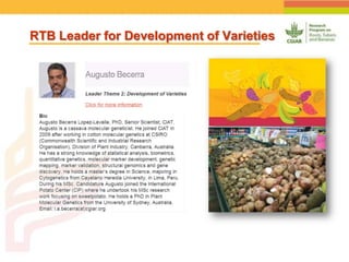 Positioning CIAT as leader in next generation breeding for roots, tubers and bananas