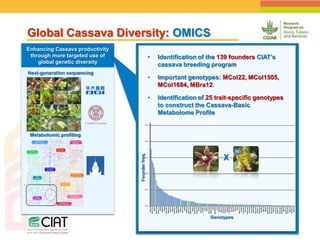 Positioning CIAT as leader in next generation breeding for roots, tubers and bananas