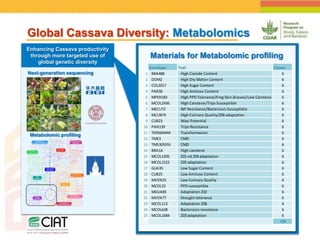 Positioning CIAT as leader in next generation breeding for roots, tubers and bananas