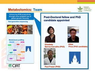 Positioning CIAT as leader in next generation breeding for roots, tubers and bananas
