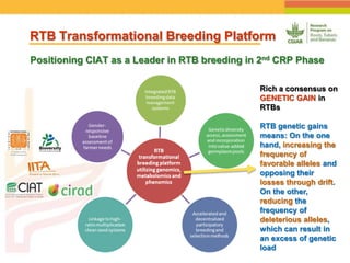 Positioning CIAT as leader in next generation breeding for roots, tubers and bananas