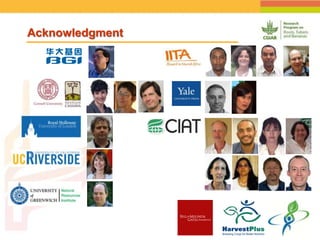 Positioning CIAT as leader in next generation breeding for roots, tubers and bananas