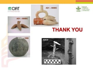 Positioning CIAT as leader in next generation breeding for roots, tubers and bananas